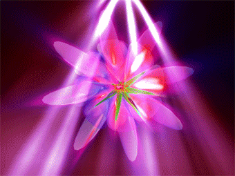 flower light